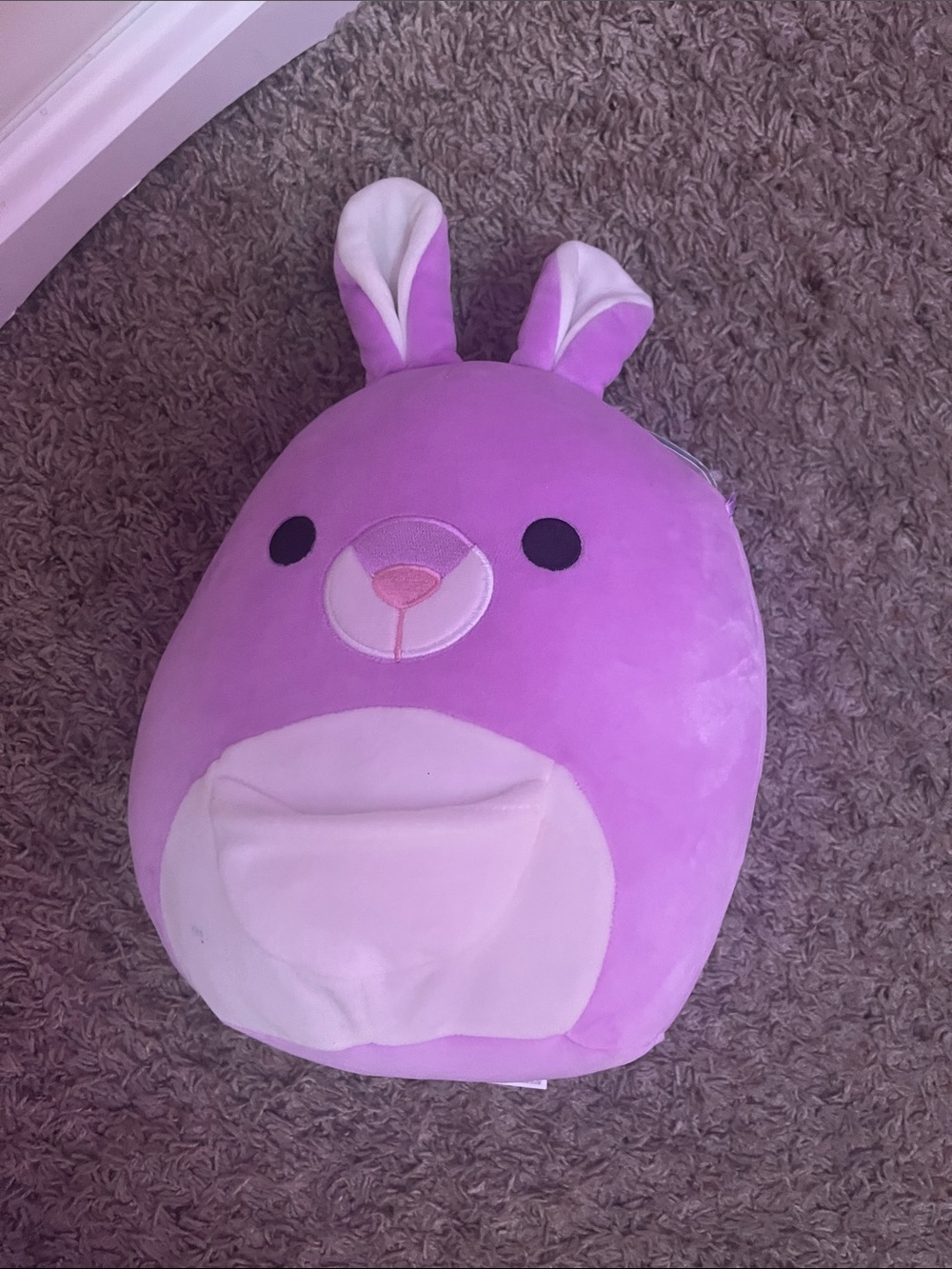 Squishmallow Kangaroo! Kiki